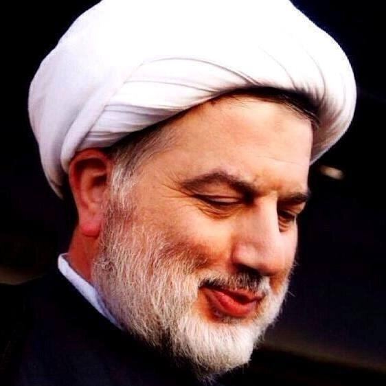 Humam Hamoudi: A Political Pillar in Iraq's Evolving Landscape